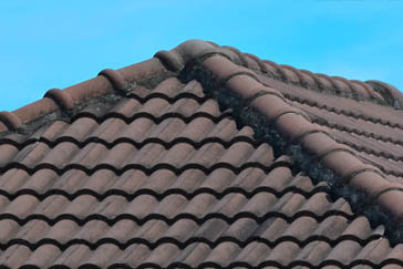 ridge-capping-tile-repairs-terracotta-roofing-adelaide